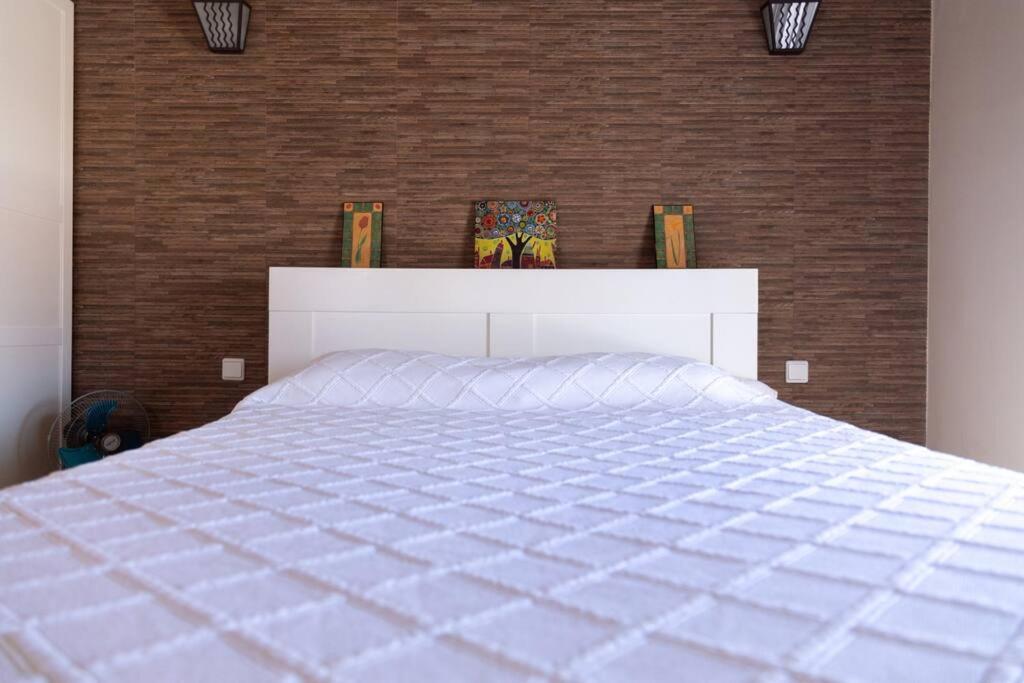 El Loft De Abreu Lägenhet Cádiz Exteriör bild